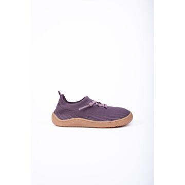 Baby Bare Vibe Orchid