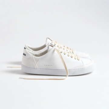 Fleeters Lemon White